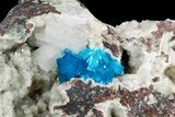Vibrant Blue Cavansite Cluster on Stilbite - India #176796-2